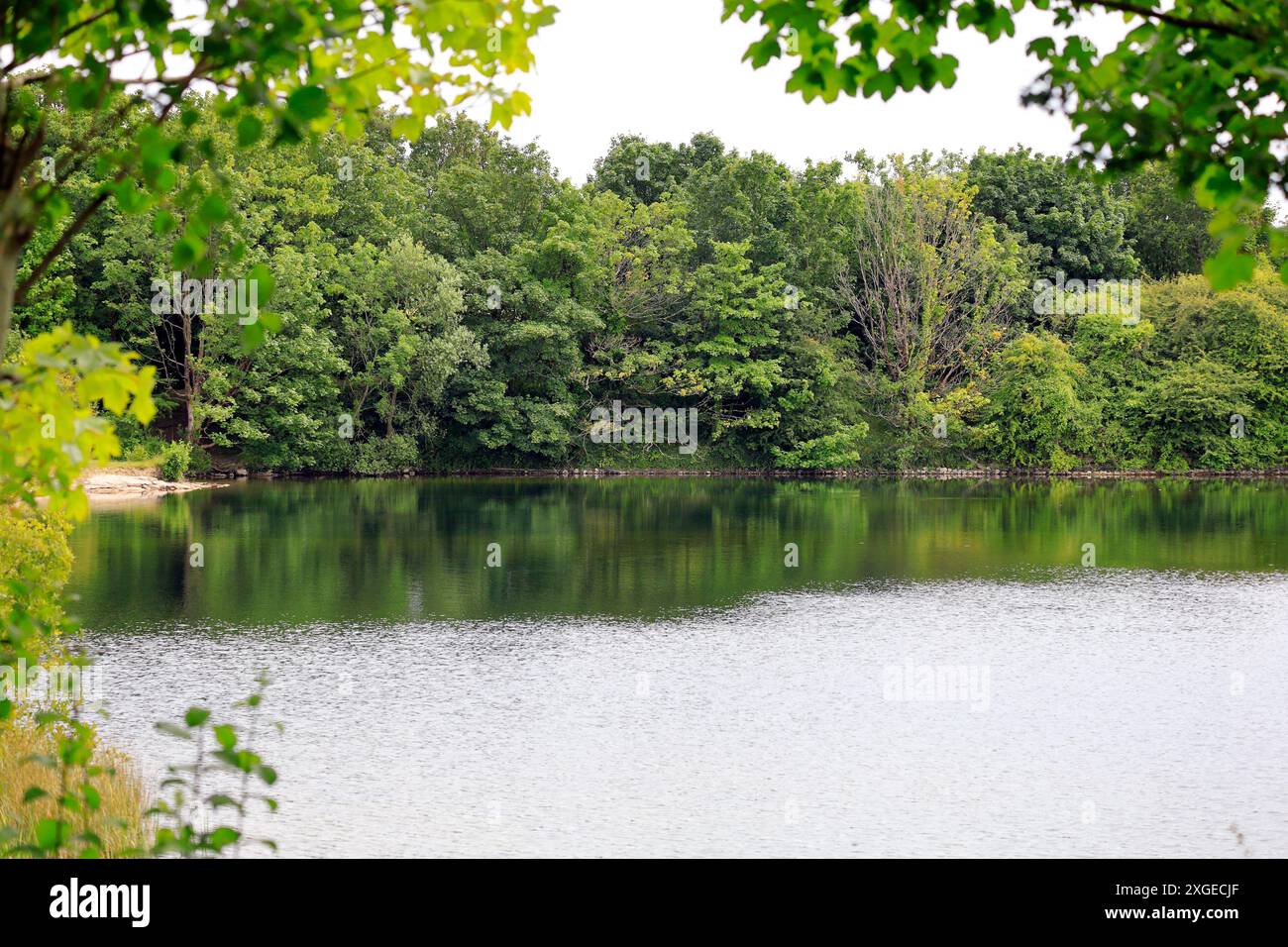 L'un des lacs du Cosmeston Country Park, Penarth, Cardiff, pays de Galles du Sud. Prise en juillet 2024 Banque D'Images
