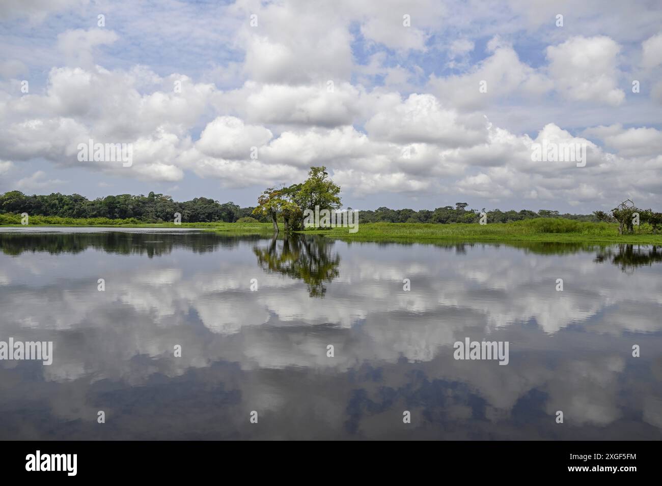 Paysage aquatique sur la rivière Akaka, Parc National de Loango, Parc National de Loango, Province Ogooue-maritime, Gabon Banque D'Images