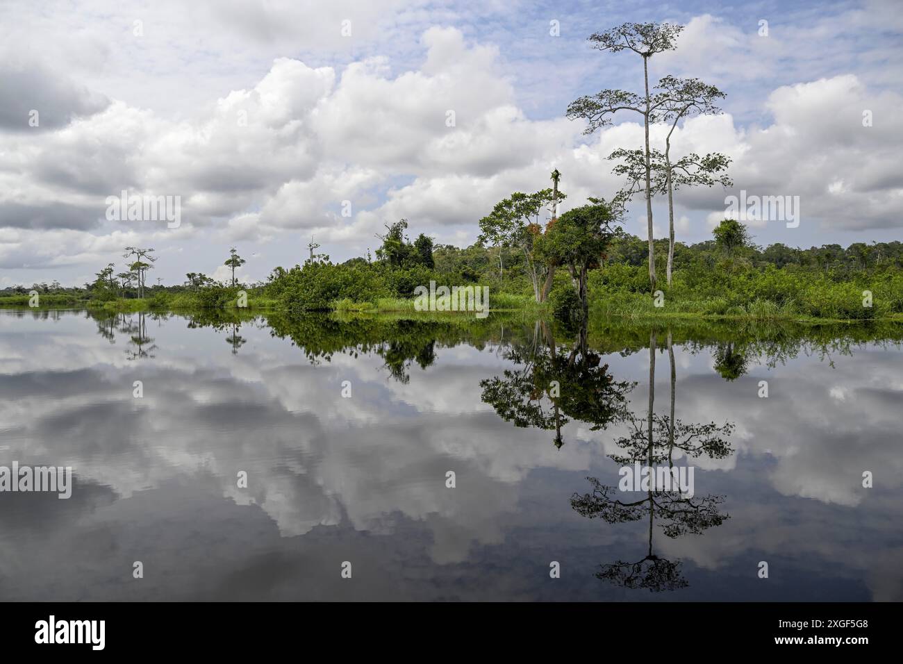 Paysage aquatique sur la rivière Akaka, Parc National de Loango, Parc National de Loango, Province Ogooue-maritime, Gabon Banque D'Images