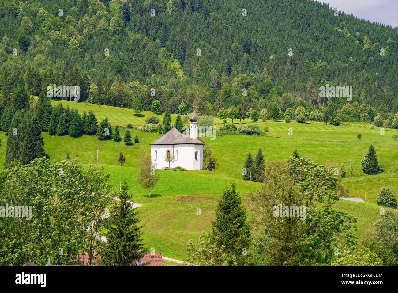 Église blanche sur une colline verte au milieu d'un paysage pittoresque et boisé, Achernsee, Autriche, Allemagne Banque D'Images