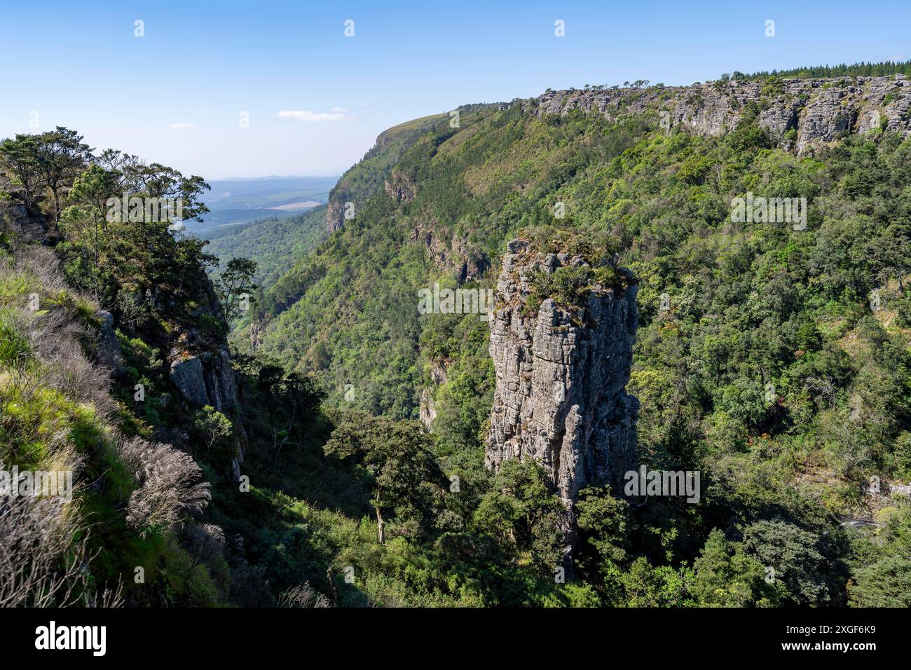 Rock Needle dans un canyon densément boisé, Pinnacle Rock, vue sur le paysage du canyon, près de Graskop, Mpumalanga, Afrique du Sud Banque D'Images