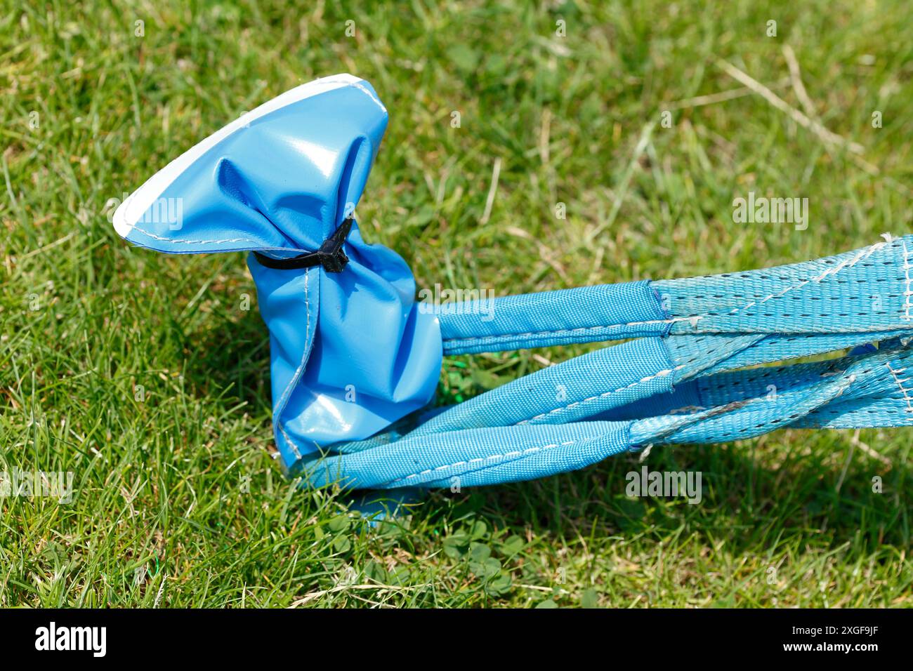 Ancrage au sol, sangle d'arrimage avec cliquet sur une prairie, Allemagne Banque D'Images Ancrage au sol, sangle d'arrimage avec cliquet sur une prairie, Allemagne Banque D'Images