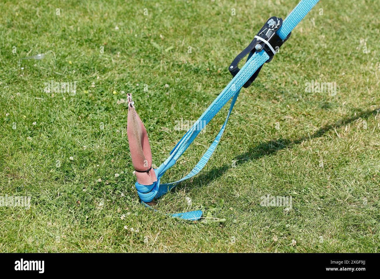 Ancrage au sol, sangle d'arrimage avec cliquet sur une prairie, Allemagne Banque D'Images Ancrage au sol, sangle d'arrimage avec cliquet sur une prairie, Allemagne Banque D'Images
