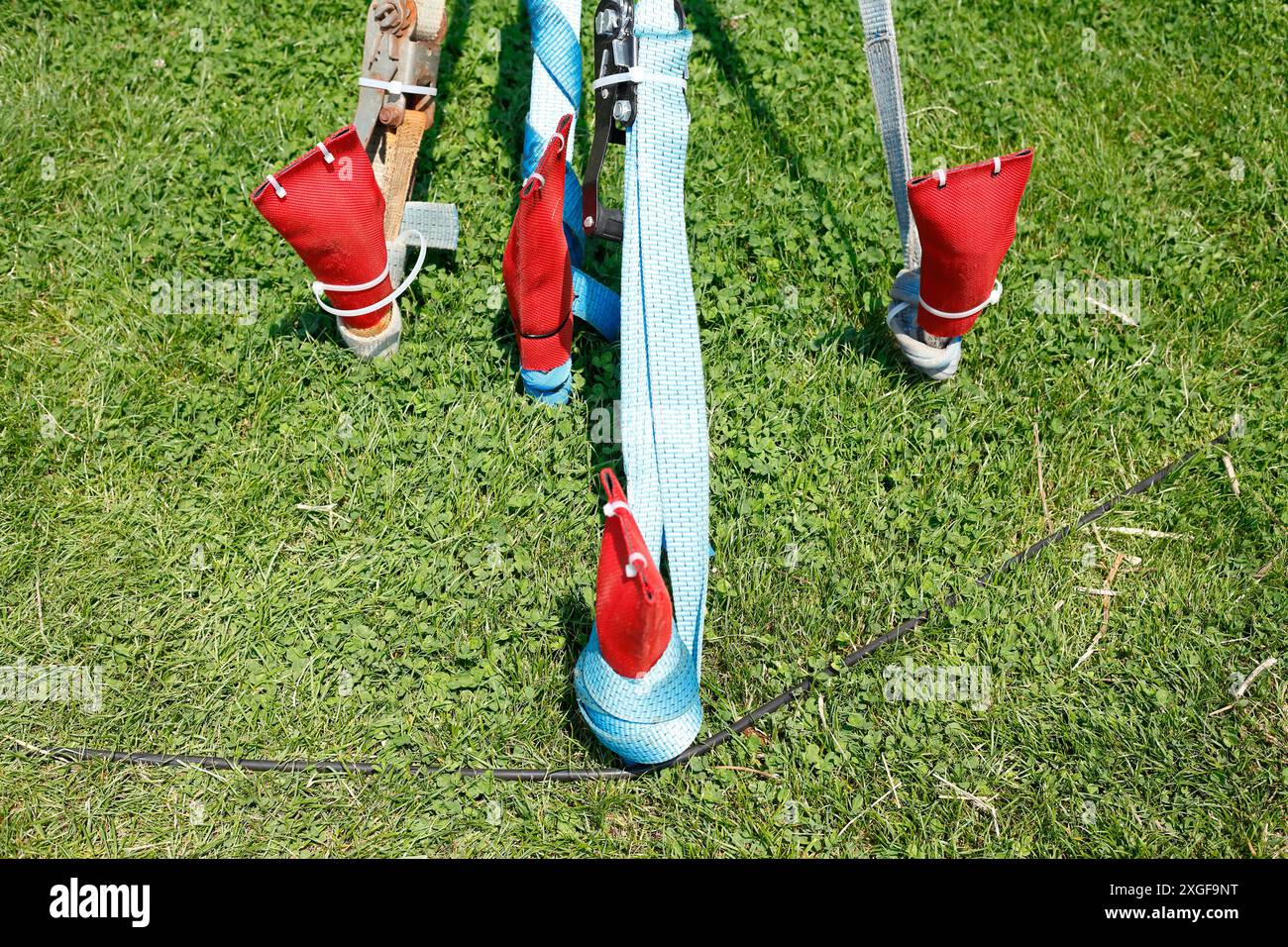 Bodenverankerungen, festgezurrte Spanngurte mit Ratsche auf einer Wiese, Deutschland Banque D'Images Bodenverankerungen, festgezurrte Spanngurte mit Ratsche auf einer Wiese, Deutschland Banque D'Images