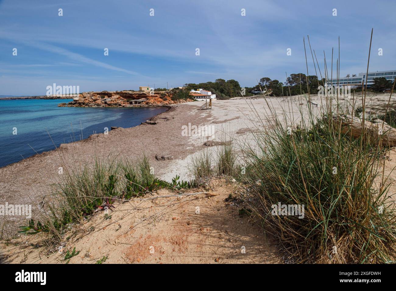 Cala Saona, Formentera, Iles Pitiusa, Communauté des Baléares, Espagne Banque D'Images