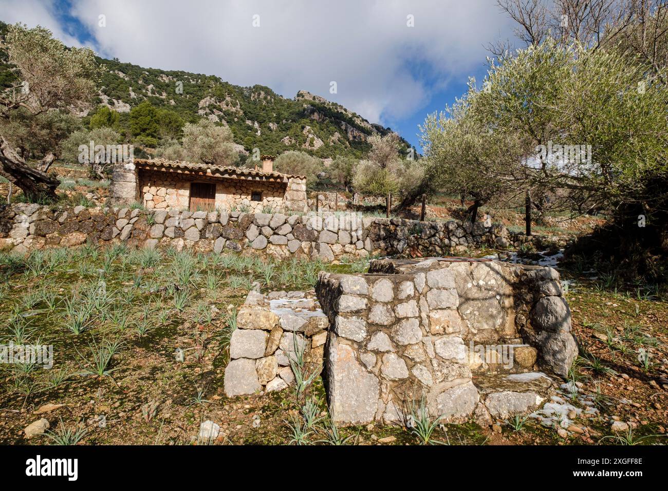 Maison d'outils et puits, vallée de l'Orient, Majorque, Îles Baléares, Espagne Banque D'Images