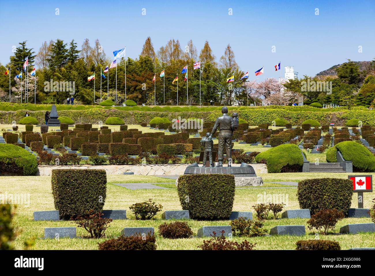 Cimetière commémoratif des Nations Unies, Busan, Corée du Sud, Asie Banque D'Images