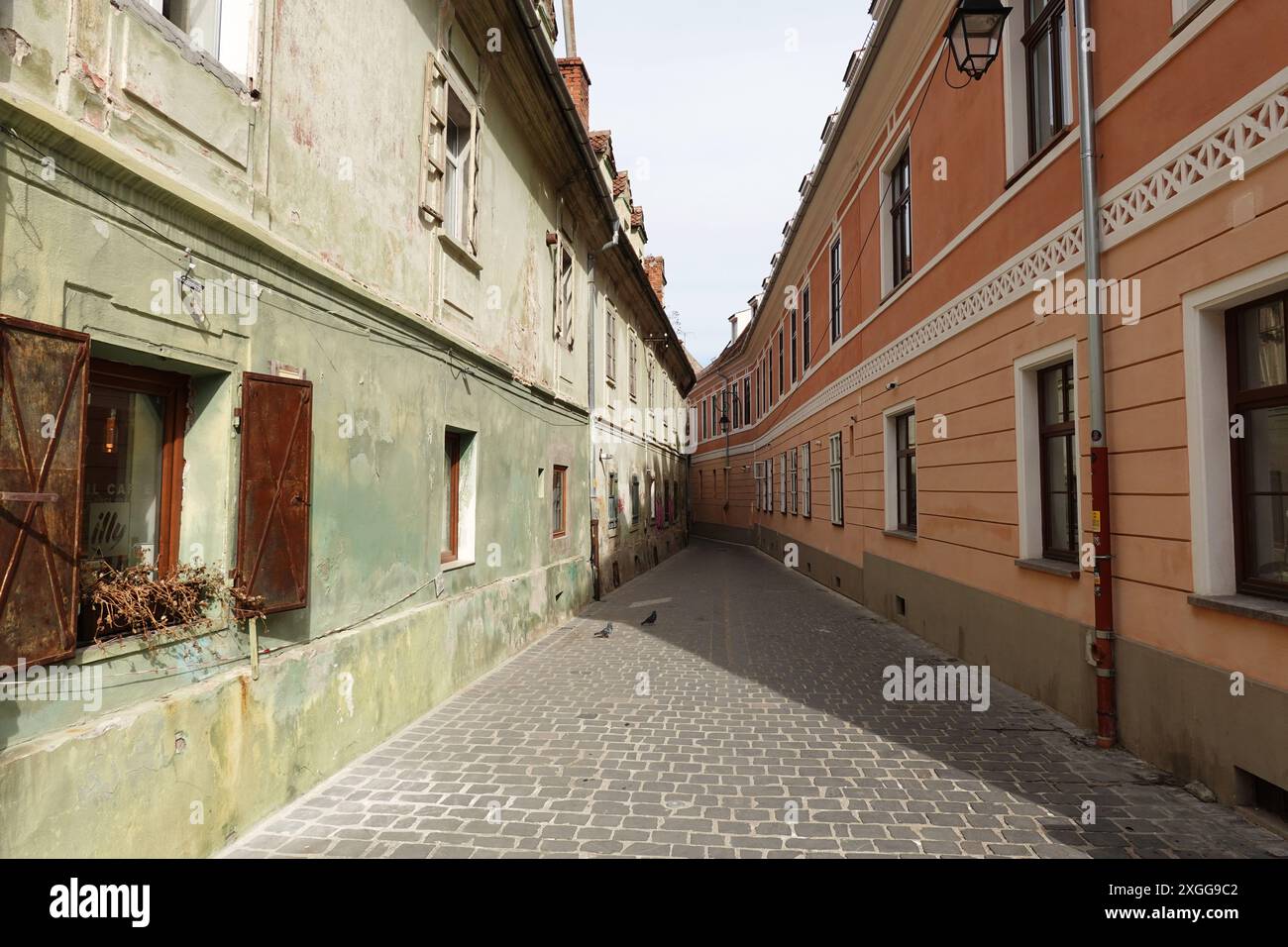 Rue étroite, Brasov, Transylvanie, Roumanie, Europe Banque D'Images