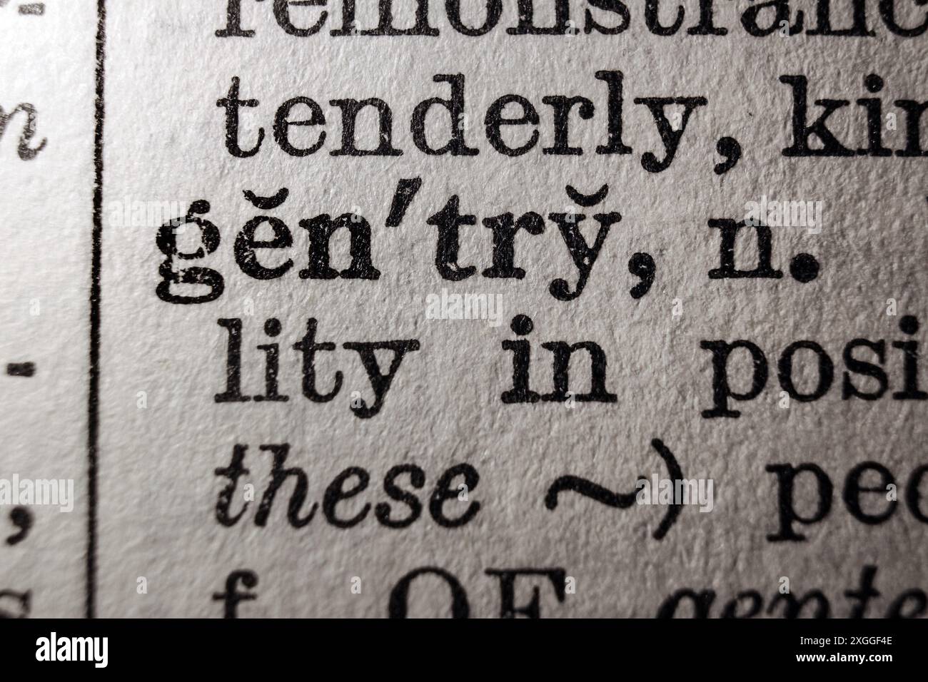 Mot Gentry sur la page du dictionnaire, macro gros plan Banque D'Images