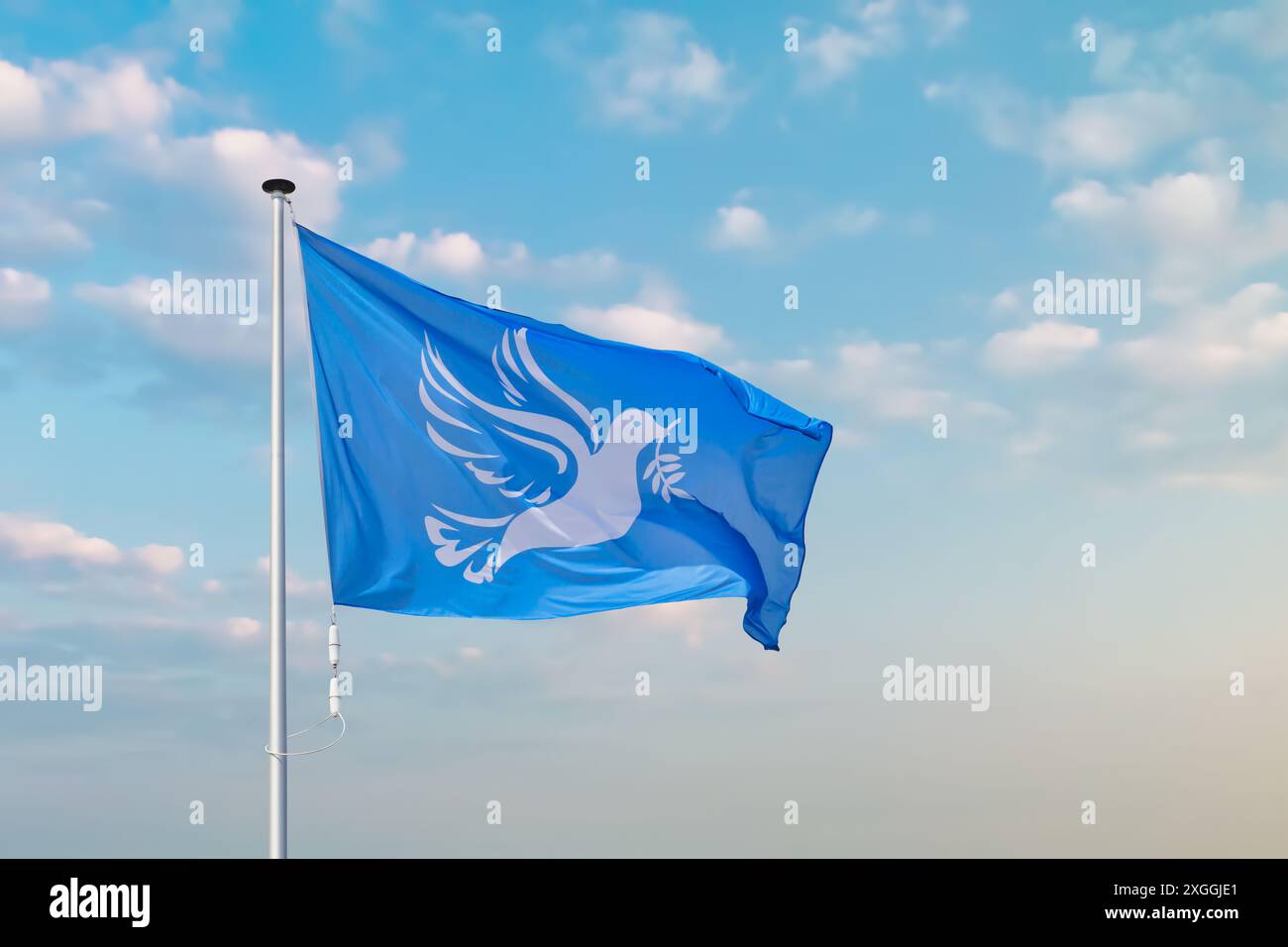 Brandissant un drapeau bleu de la paix avec une colombe blanche tenant une branche d'olivier devant un ciel bleu de nuit Banque D'Images