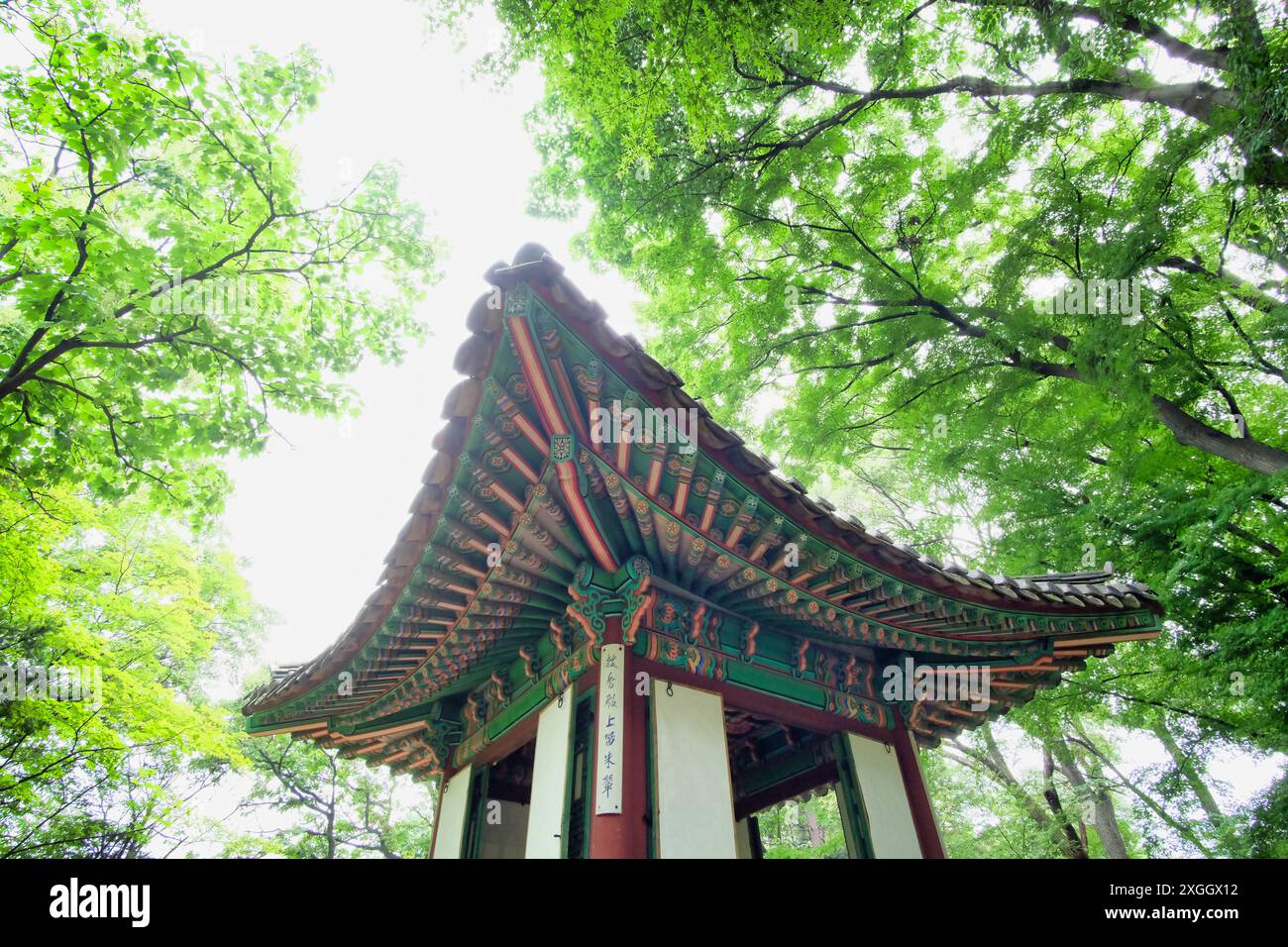Toit de temple coréen orné de couleurs vives, encadré par des arbres verdoyants Banque D'Images