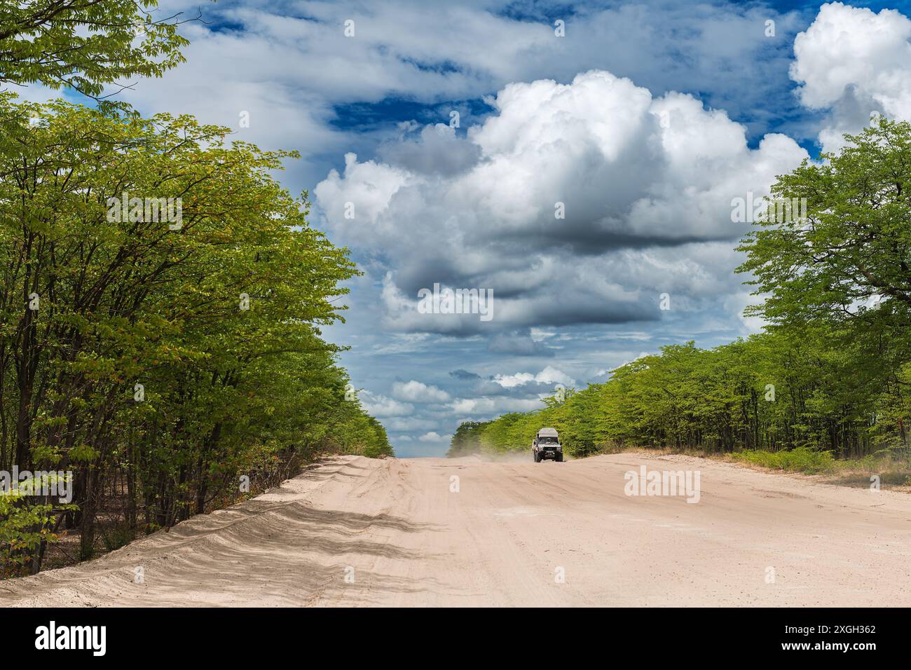 Voiture sur une piste de sable, Chobe National Park, Botswana Banque D'Images