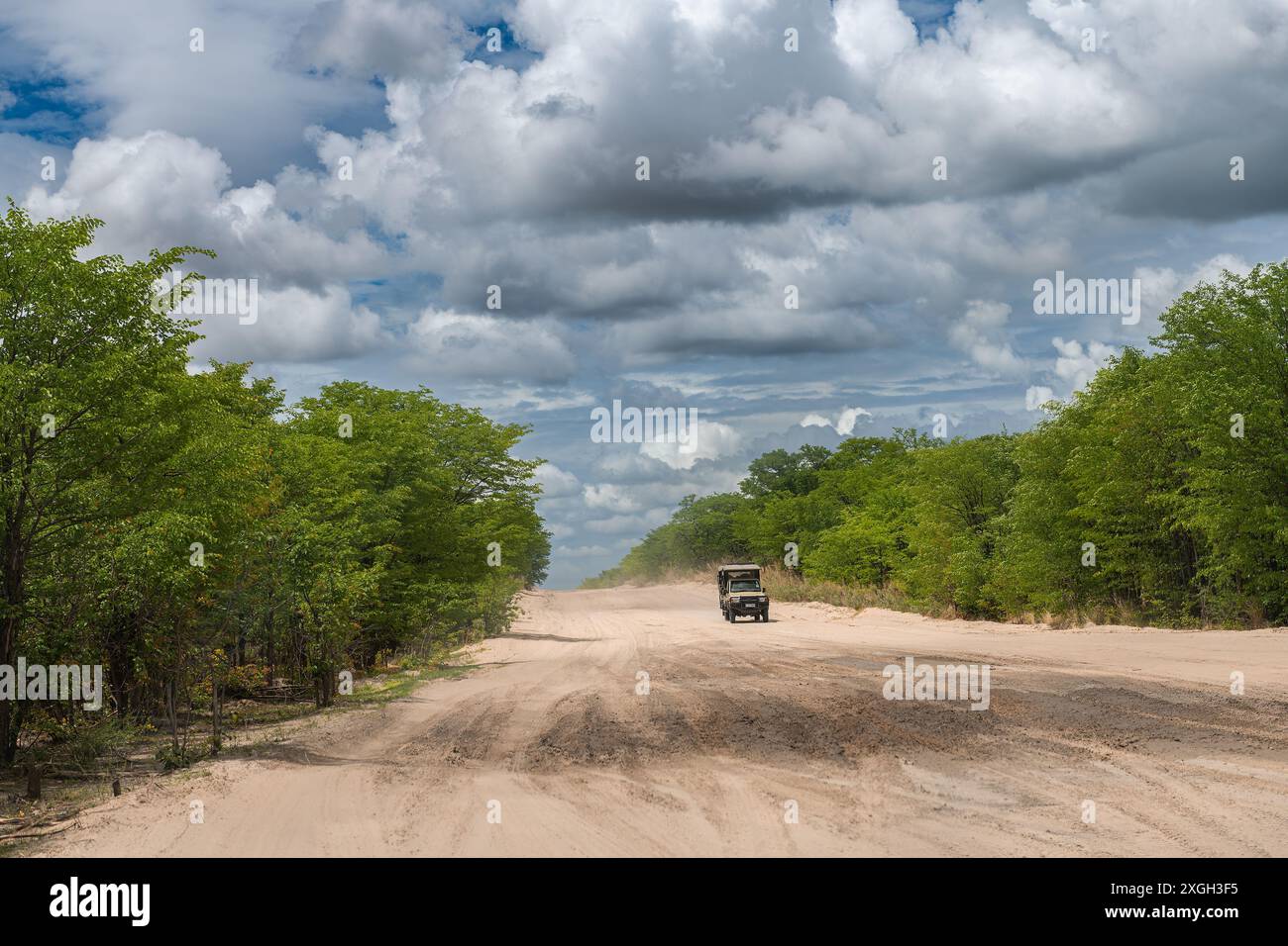 Voiture sur une piste de sable, Chobe National Park, Botswana Banque D'Images