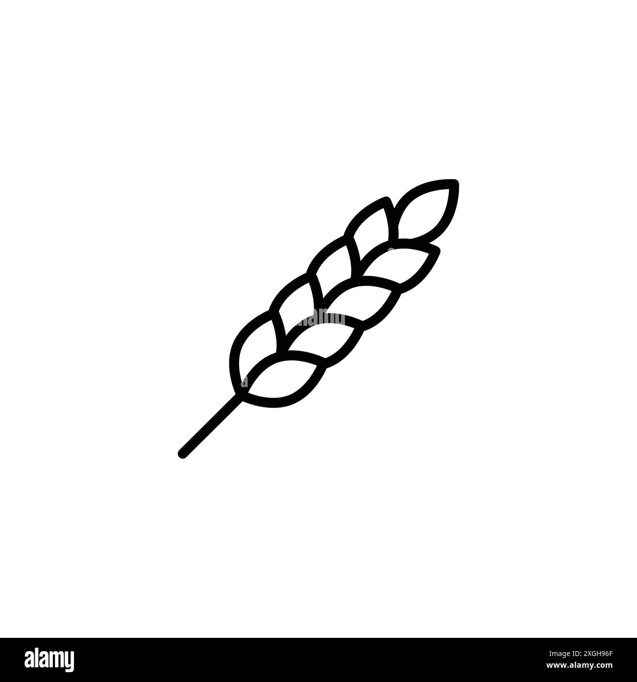 Collection d'ensemble de logo vectoriel d'icône de blé ou groupe de paquet de paquet Illustration de Vecteur
