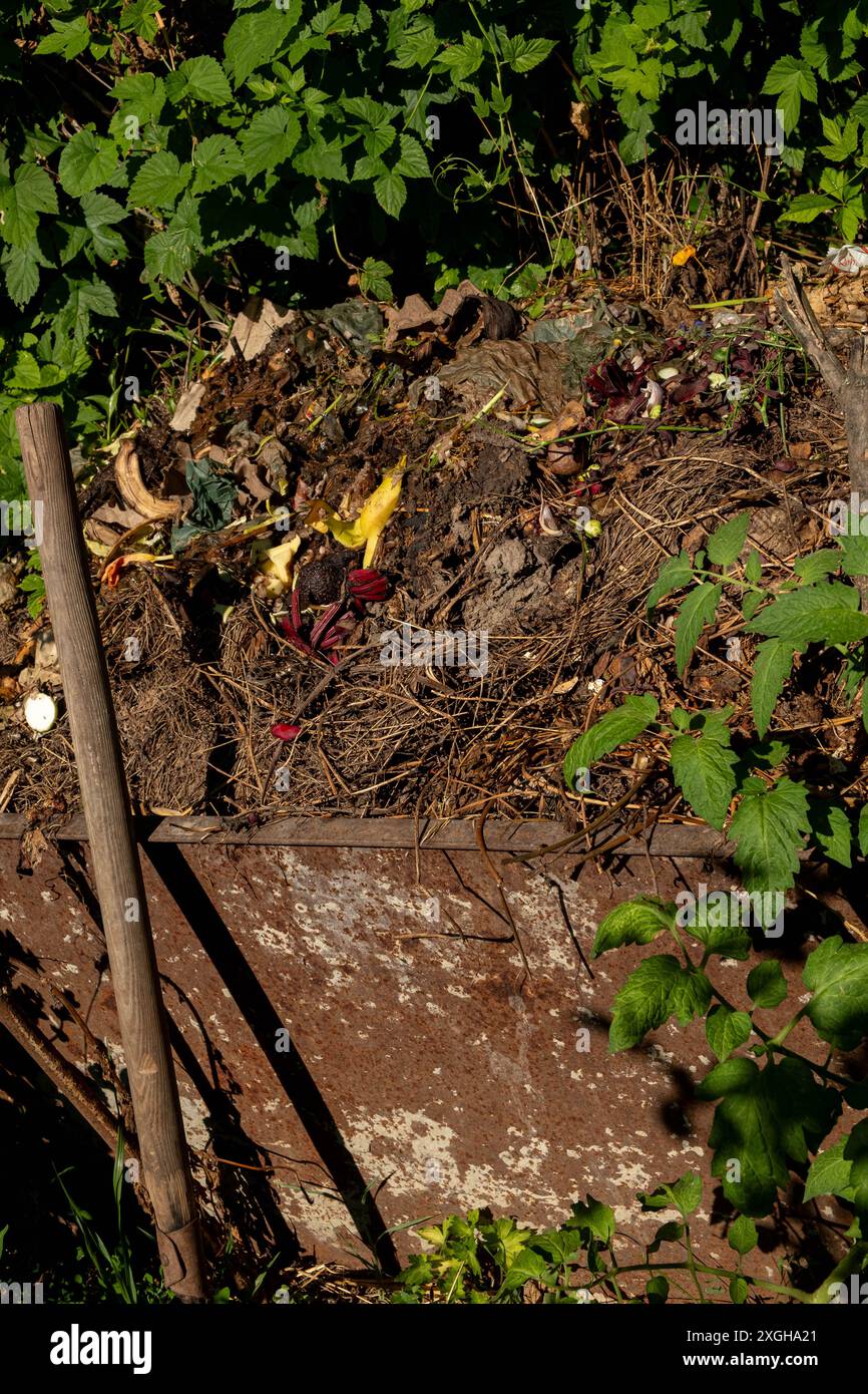 Photo d'un tas de compost contenant diverses matières organiques à différents stades de décomposition. Concept d'agriculture biologique Banque D'Images