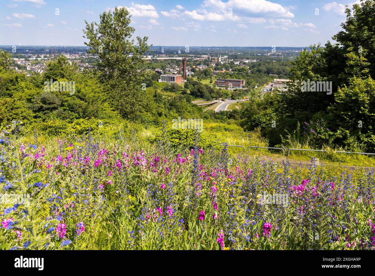 Région verte de la Ruhr, vue depuis Halde Hoheward Banque D'Images