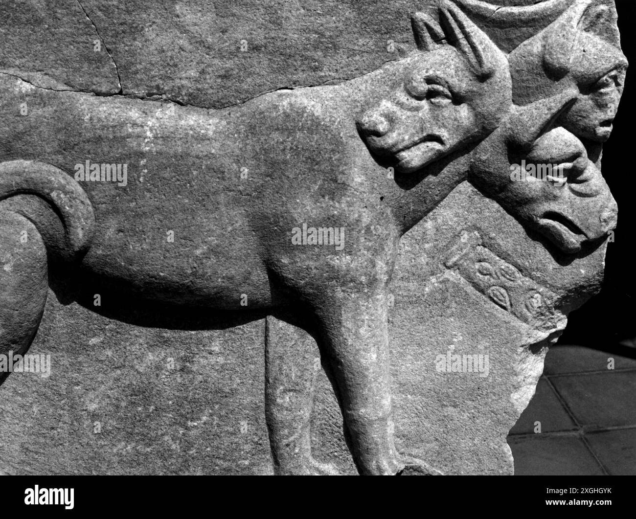 Monde antique, Grecs, mythologie, Cerbère, garde des enfers, relief de Pergame, SUPPLÉMENT-DROITS-AUTORISATION-INFO-NOT-AVAILABLE Banque D'Images