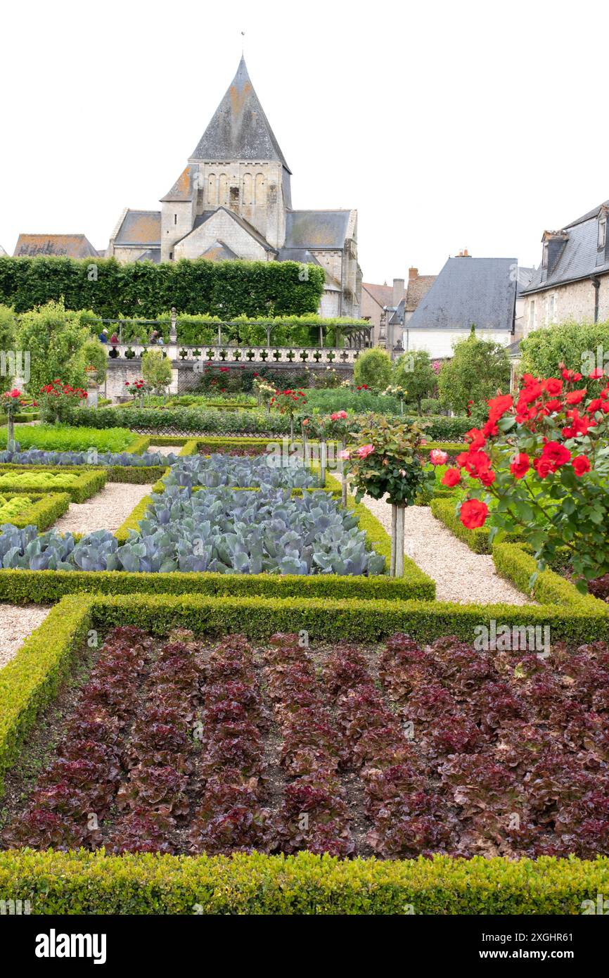 Jardin potager décoratif, Château de Villandry Banque D'Images