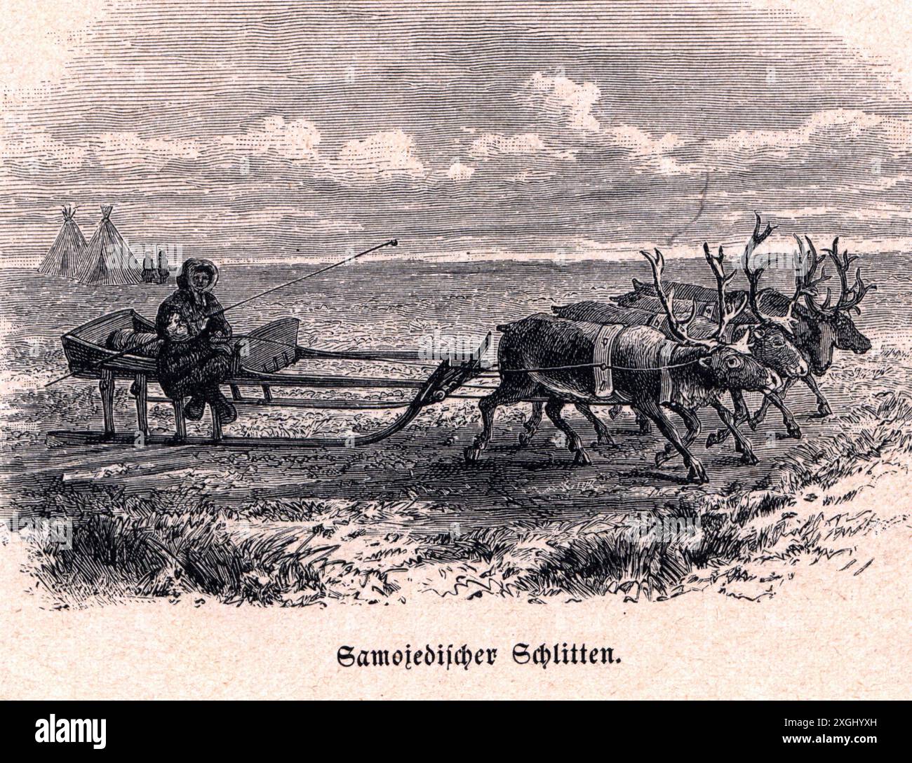 Transport / transport, traîneau, traîneau à rennes du Samoyed, gravure sur bois, fin du XIXe siècle, LE DROIT D'AUTEUR DE L'ARTISTE N'A PAS A ELIMINER Banque D'Images