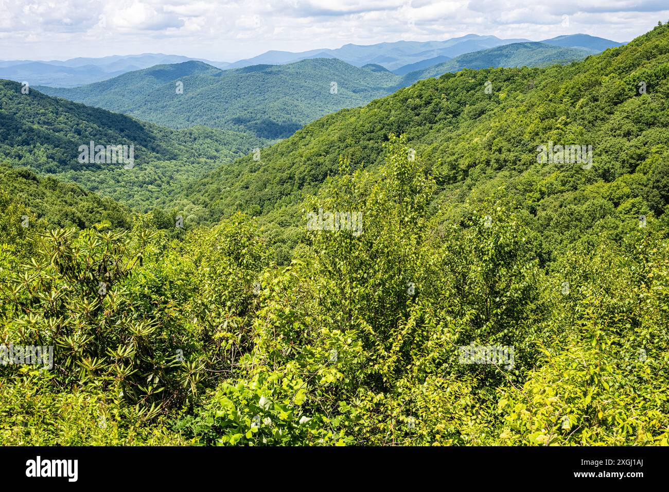 Vue sur les Blue Ridge Mountains depuis la route panoramique Richard B. Russell à Hogpen Gap (un passage de sentier des Appalaches) en Géorgie du Nord. (ÉTATS-UNIS) Banque D'Images