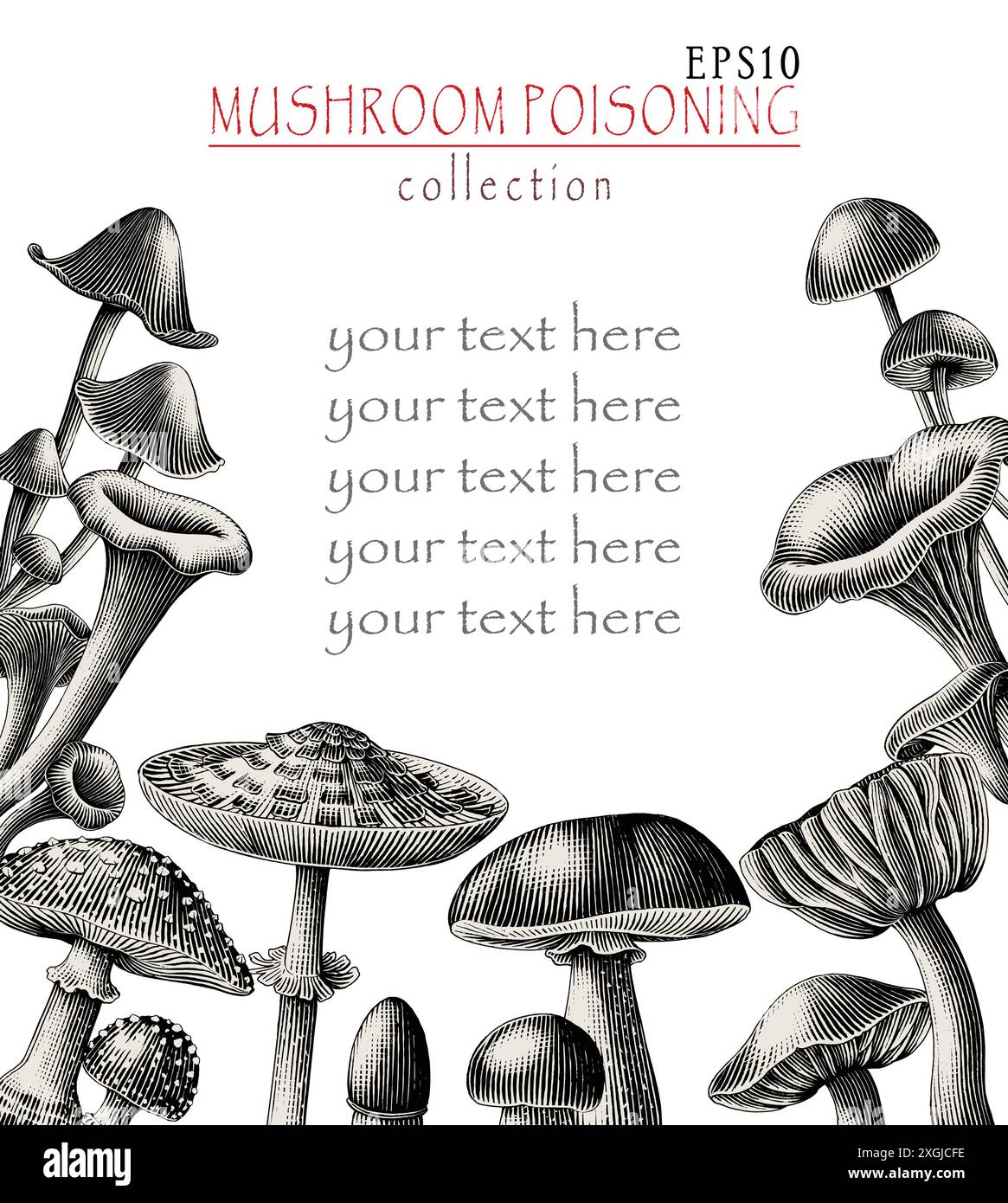 Illustration de gravure antique de collection d'empoisonnement de champignon dessiner à la main noir et blanc clip art Illustration de Vecteur Illustration de gravure antique de collection d'empoisonnement de champignon dessiner à la main noir et blanc clip art Illustration de Vecteur