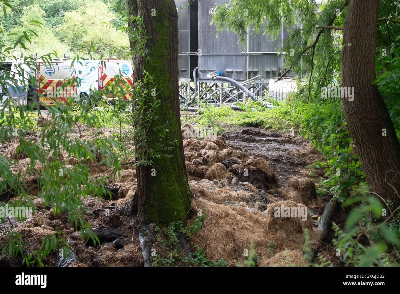 Amersham, Royaume-Uni. 9 juillet 2024. L'eau de la Tamise s'est déversée des bassins d'équilibrage Amersham dans la rivière Misbourne depuis plus de 3 500 heures. Ils étaient là encore aujourd'hui. En aval des rejets, il y a une odeur d'eaux usées de la rivière Misbourne dans le village de Chalfont St Giles dans le Buckinghamshire. Il y a des preuves évidentes de champignons d'égout dans la rivière Misbourne, un courant noir rare, et le long des berges. Thames Water a versé 158 millions de livres sterling à ses actionnaires malgré une dette de 15 milliards de livres sterling. Thames Water a déclaré qu'elle serait à court d'argent d'ici mai 2025. Le PDG de Thames Water, CH Banque D'Images