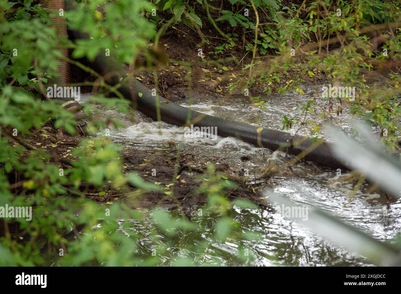 Amersham, Royaume-Uni. 9 juillet 2024. L'eau de la Tamise s'est déversée des bassins d'équilibrage Amersham dans la rivière Misbourne depuis plus de 3 500 heures. Ils étaient là encore aujourd'hui. En aval des rejets, il y a une odeur d'eaux usées de la rivière Misbourne dans le village de Chalfont St Giles dans le Buckinghamshire. Il y a des preuves évidentes de champignons d'égout dans la rivière Misbourne, un courant noir rare, et le long des berges. Thames Water a versé 158 millions de livres sterling à ses actionnaires malgré une dette de 15 milliards de livres sterling. Thames Water a déclaré qu'elle serait à court d'argent d'ici mai 2025. Le PDG de Thames Water, CH Banque D'Images