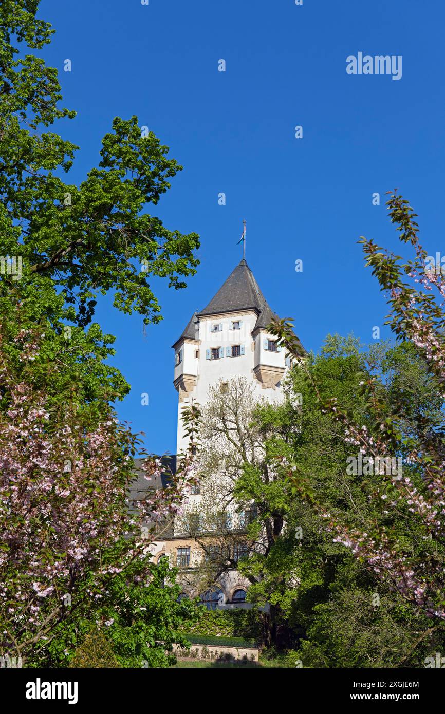 Europe, Luxembourg, Colmar-Berg, Château de Berg (résidence principale du Grand-Duc de Luxembourg) situé au milieu de magnifiques jardins Banque D'Images