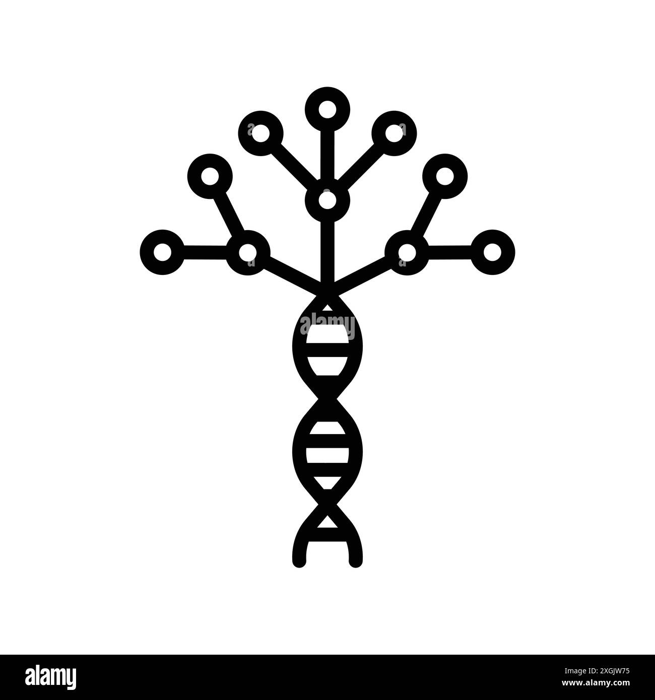 Collection de logo de vecteur d'icône d'arbre phylogénétique pour l'interface utilisateur de l'application Web Illustration de Vecteur