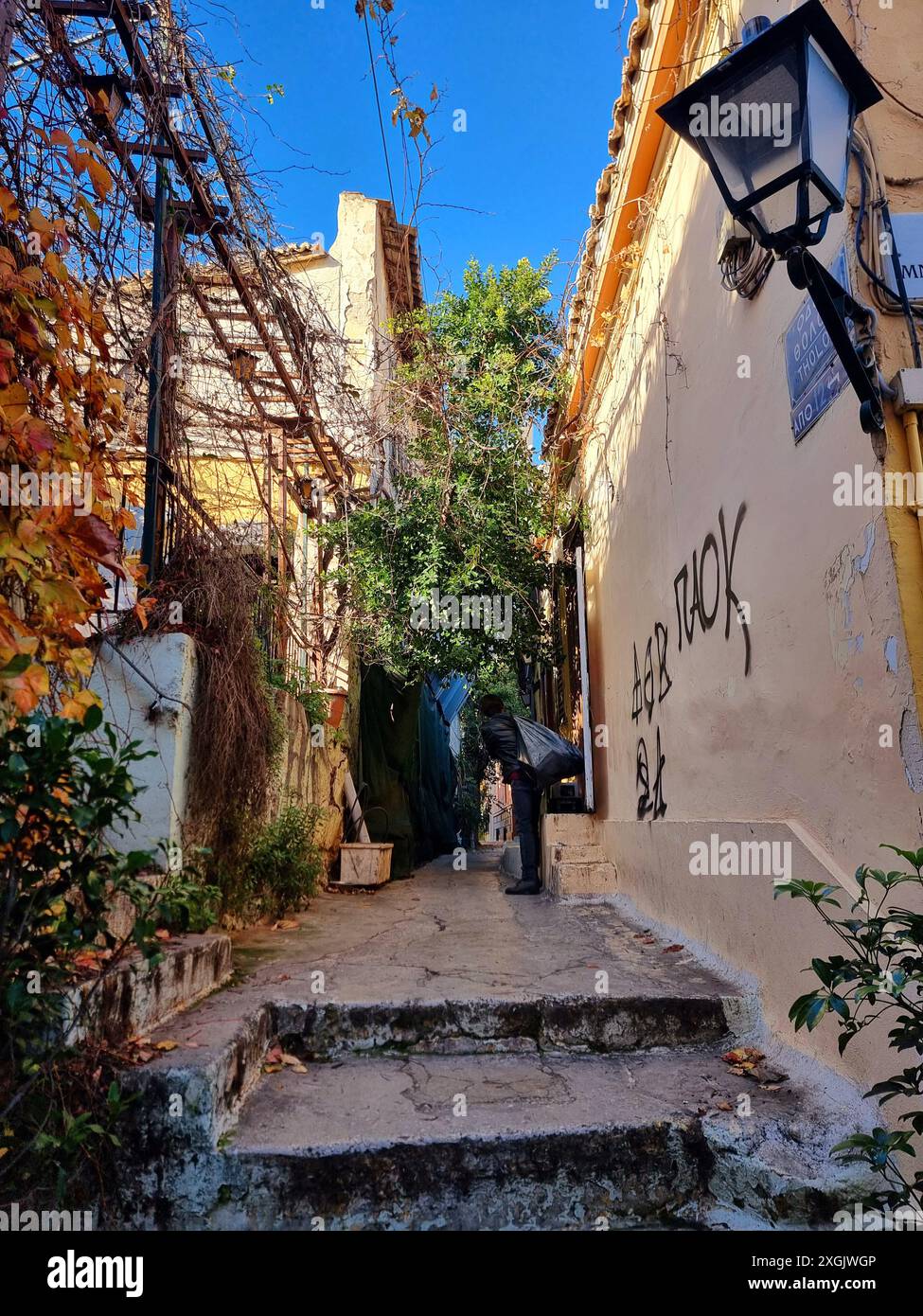 Rues de la vieille Athènes, menant au Parthénon. Belle partie calme d'Athènes mène à l'arche d'Adrian ou l'Acropole ou le musée de l'Acropole, quelques boutiques, et quelques tarvernas. En direction du musée de l'Acropole de la bibliothèque d'Hadrien sont de belles maisons typiques de style grec ancien sur de petites ruelles en bleu et blanc avec des bougainvilliers abondants. Grèce. Banque D'Images