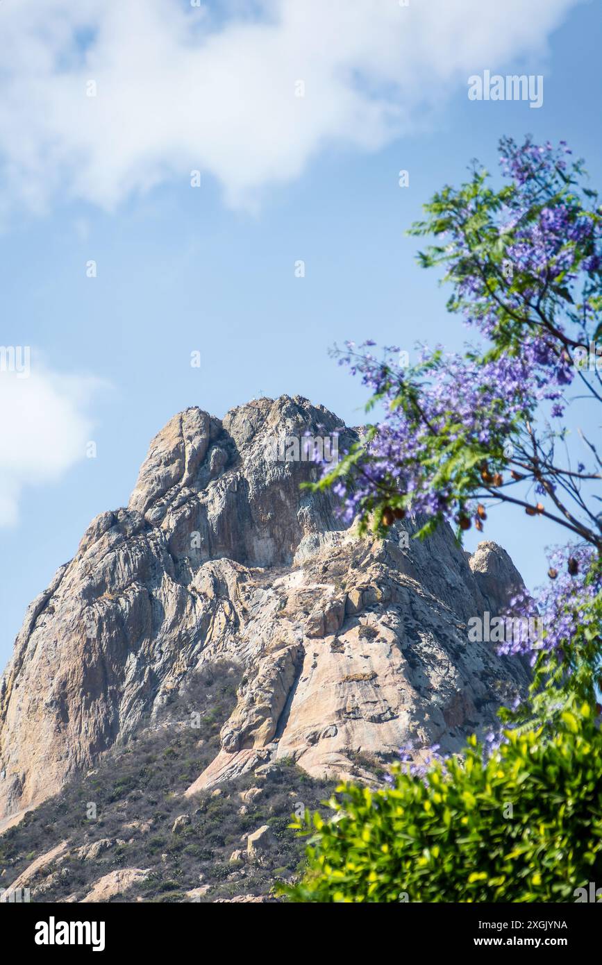 Une ville magique Bernal à Queretaro, au Mexique, avec des fleurs de jacaranda violettes. Banque D'Images