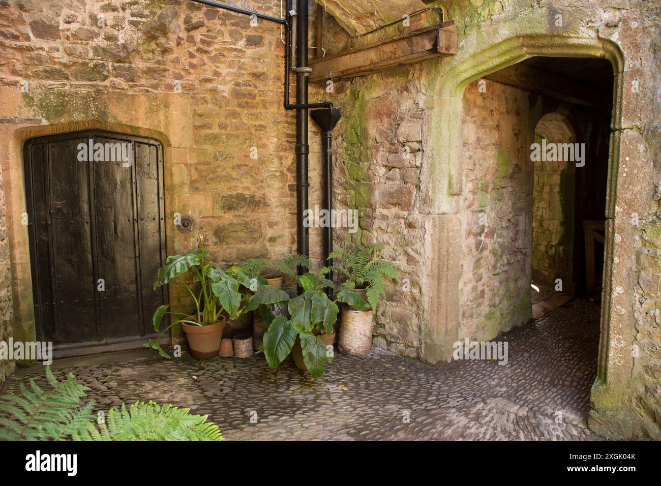 Château de Dunster Banque D'Images
