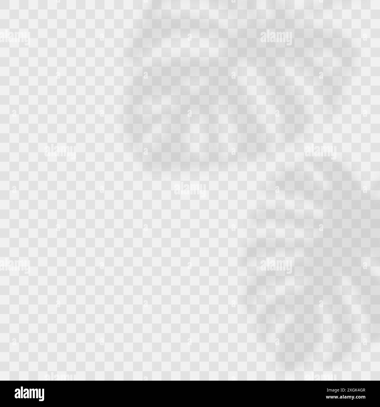 Effets d'ombre transparents vectoriels. Feuilles tropicales, Monstera Leaves Shadow Overlay horizontal fond. Superpositions d'ombres sur fond transparent Illustration de Vecteur