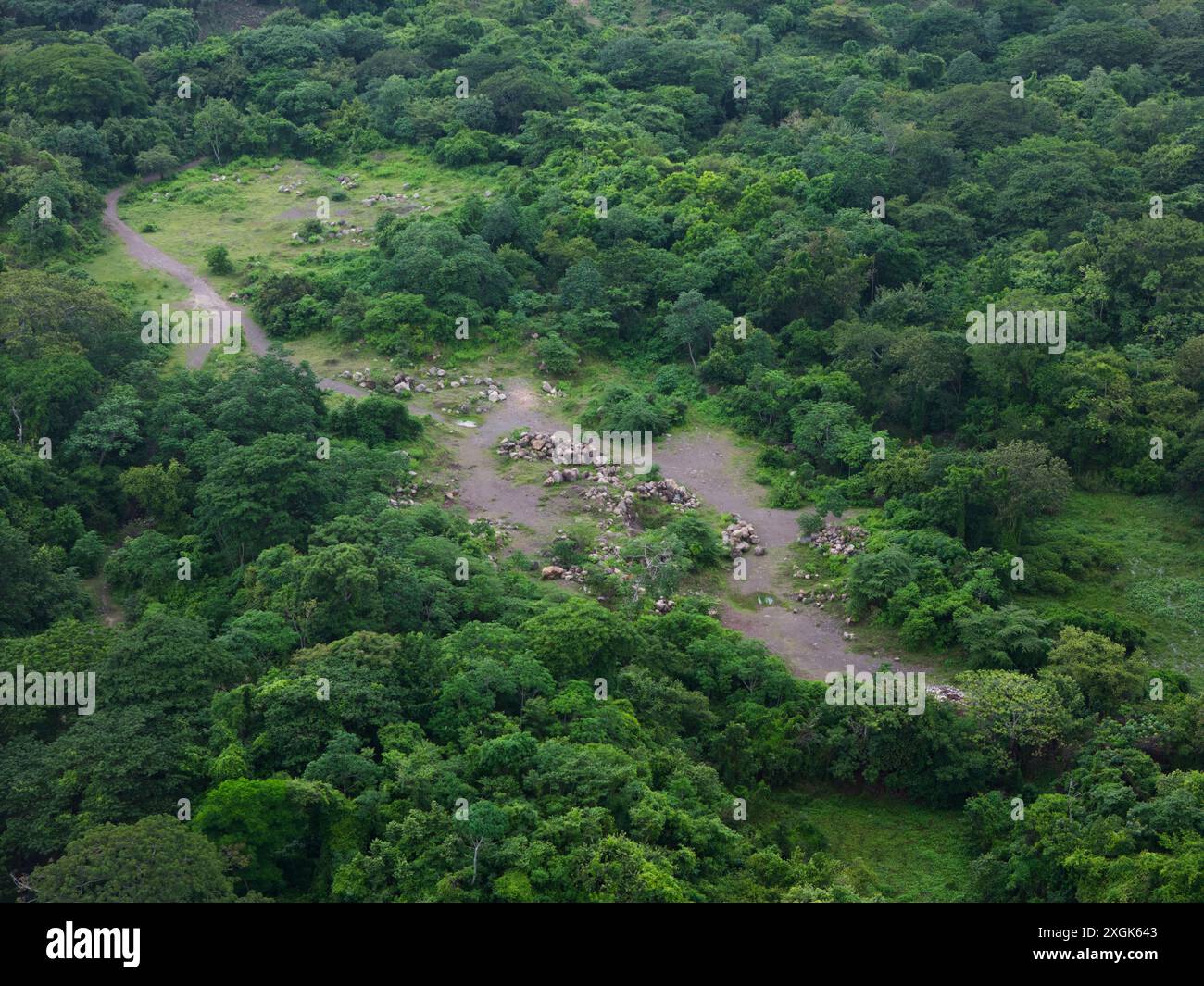 Forêt verte avec des pierres de roche dans le chemin vue aérienne drone Banque D'Images