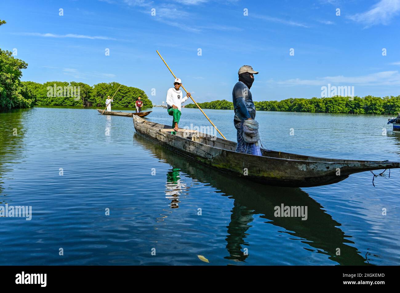 Un pêcheur de Ciénaga Grande manipule habilement son bateau, employant des techniques de pêche traditionnelles qui soutiennent les communautés locales depuis des générations. Les eaux tranquilles et les méthodes artisanales reflètent le lien durable entre les gens et leur environnement. Banque D'Images