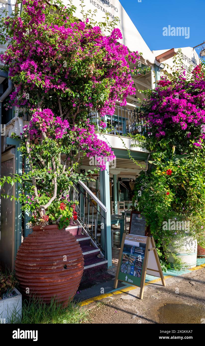 Sivota, Lefkada, Grèce- 07.03.2024. Une taverne sur la promenade avec de belles plantes en pot et des fleurs. Banque D'Images