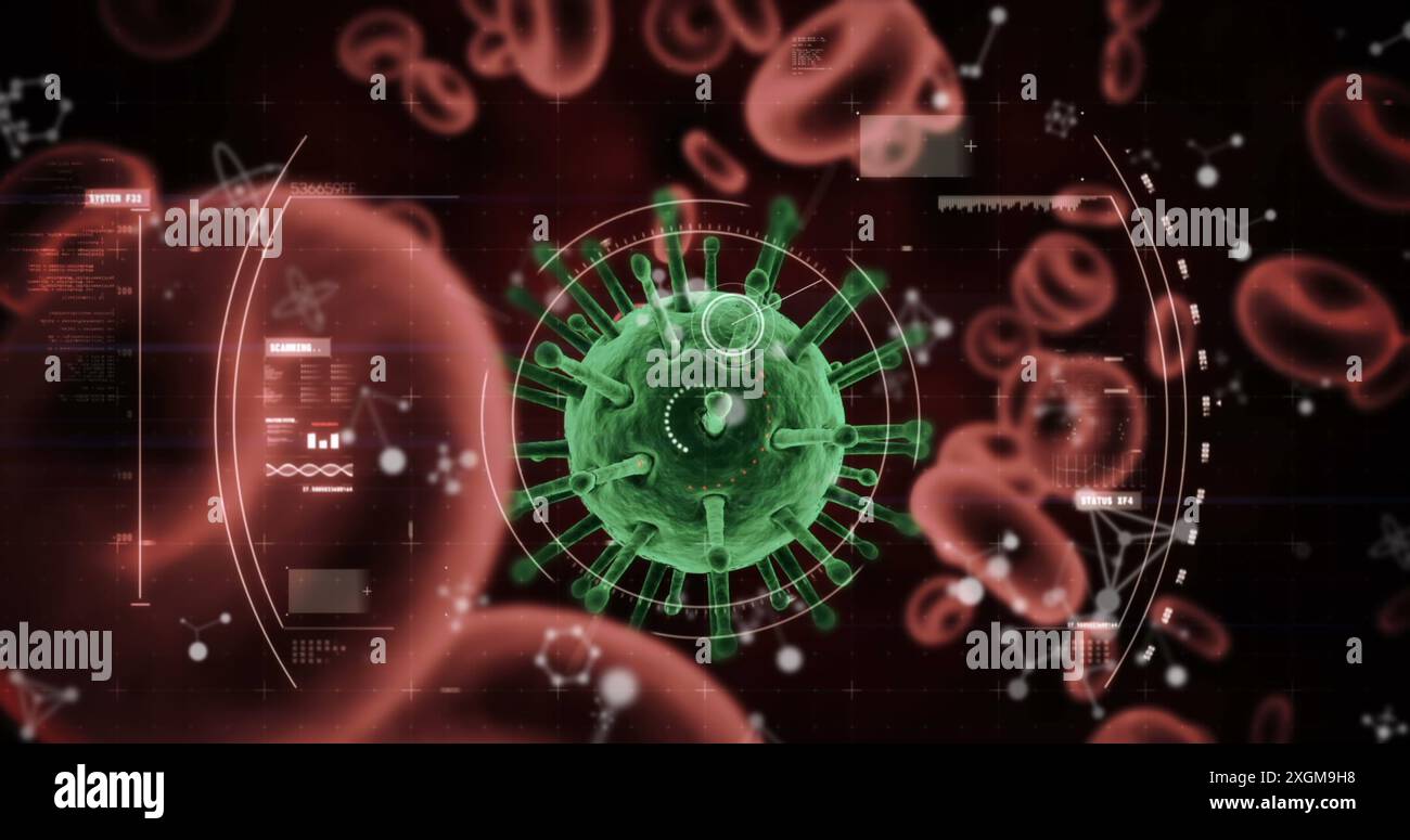 Formes rouges abstraites sur balayage de portée sur les cellules covid-19 et les vaisseaux sanguins sur fond rouge. pandémie de covid-19 et réseautage social tec Banque D'Images