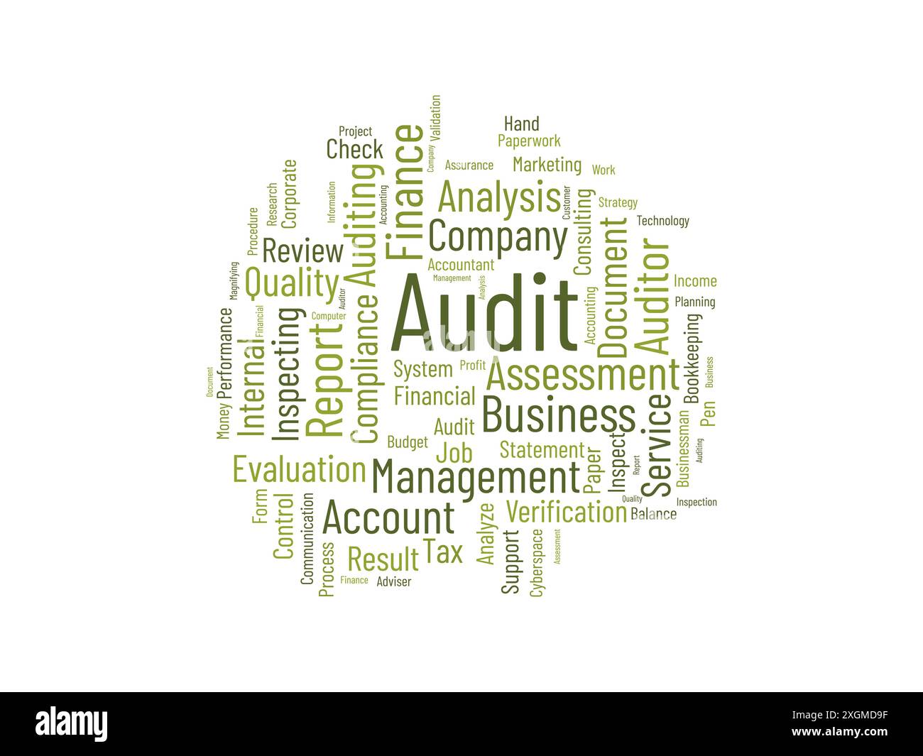 Modèle de nuage de mots d'audit. Fond de vecteur de concept d'entreprise. Illustration de Vecteur