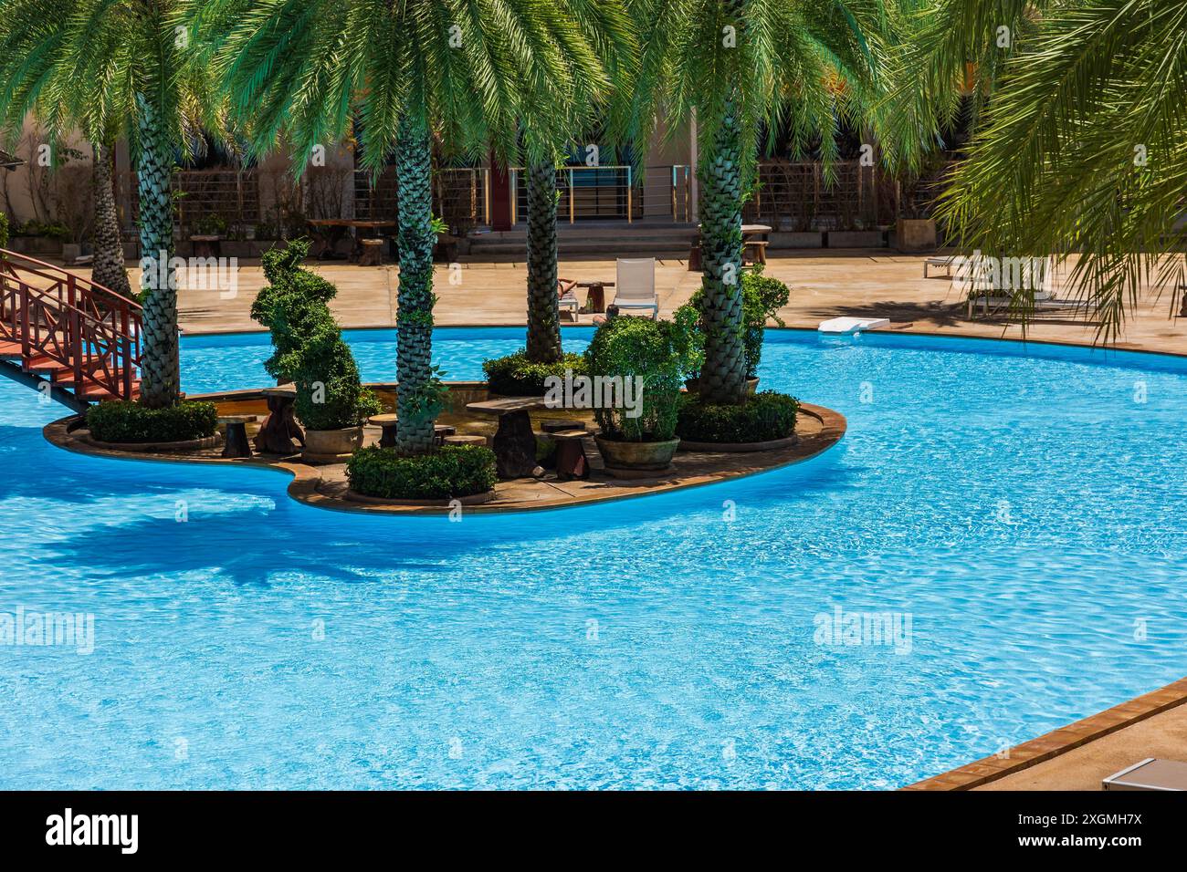 Phuket Thaïlande. Piscine avec palmiers autour. Piscine tropicale avec arbres. palmiers pour la piscine. Piscine d'eau avec palmiers. Chai de pont Banque D'Images