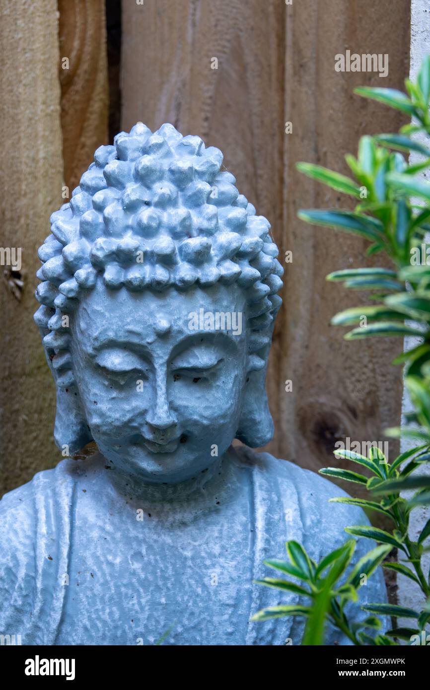 Gros plan d'une statue de Bouddha, placée contre une clôture en bois et entourée d'une végétation luxuriante. Banque D'Images