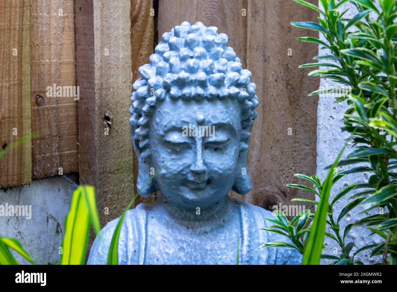 Gros plan d'une statue de Bouddha, placée contre une clôture en bois et entourée d'une végétation luxuriante. Banque D'Images