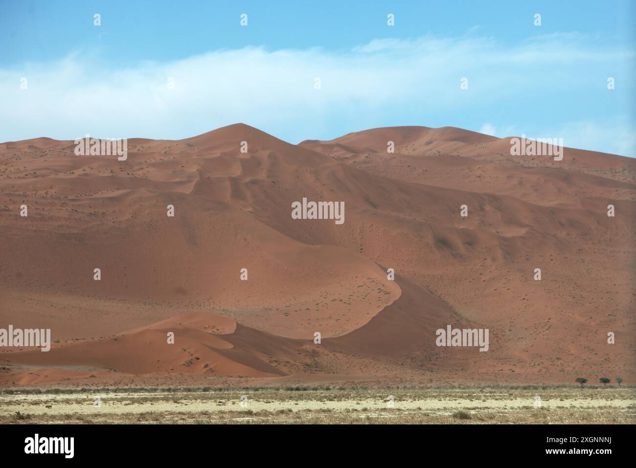 Couleurs du désert du Namib, Namibie, Afrique le Namib est le plus ancien désert du monde et figure sur la liste du patrimoine mondial de l'UNESCO Banque D'Images