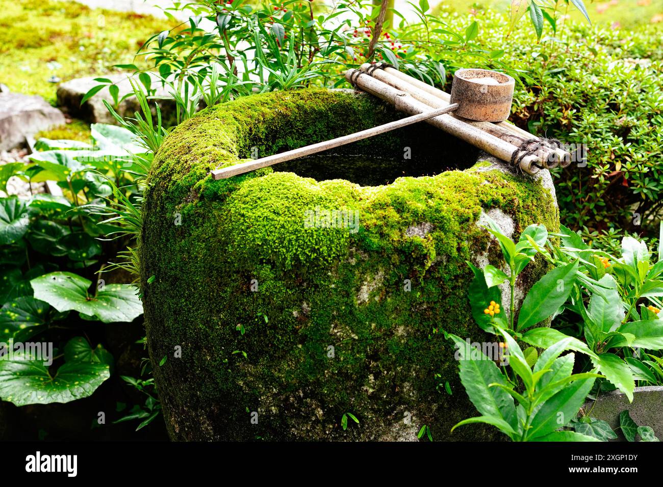 Tsukubai couvert de mousse dans le jardin traditionnel japonais, l'un des éléments les plus emblématiques du jardin traditionnel japonais Banque D'Images