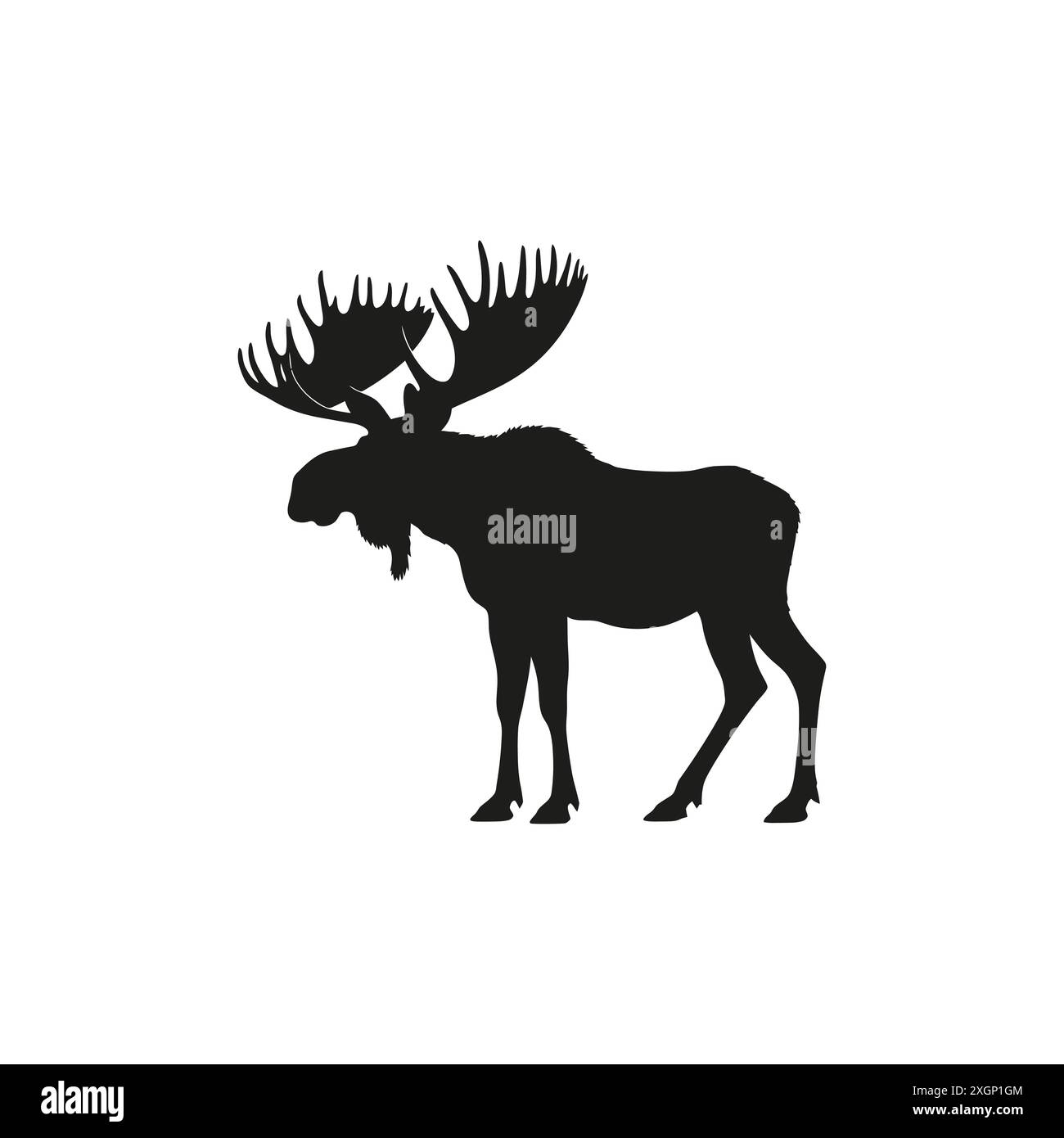 Silhouette d'orignal avec Antlers Majestic sur fond blanc Illustration de Vecteur