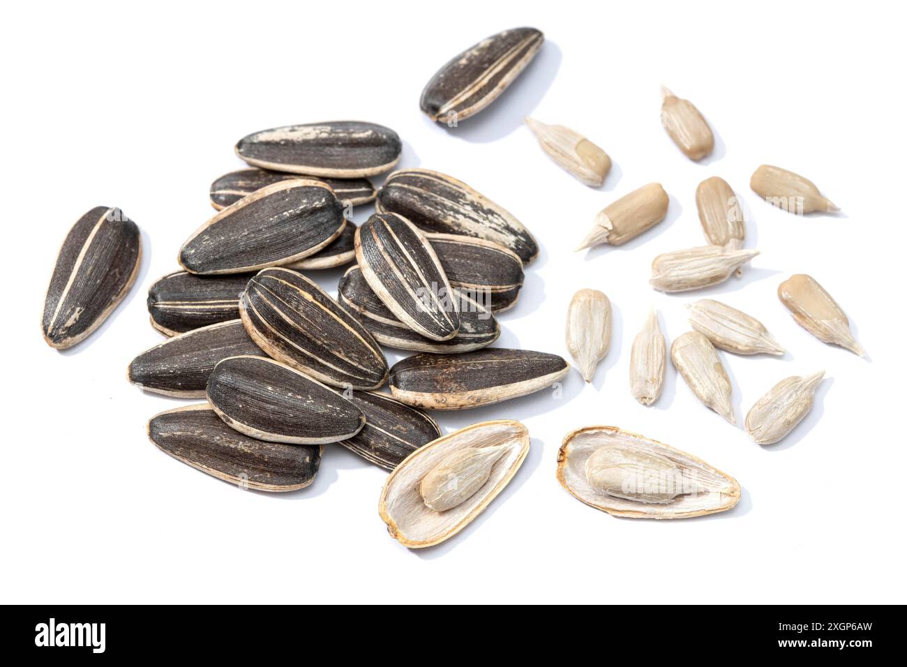Graines de tournesol isolées sur fond blanc. Graines d'Helianthus Banque D'Images