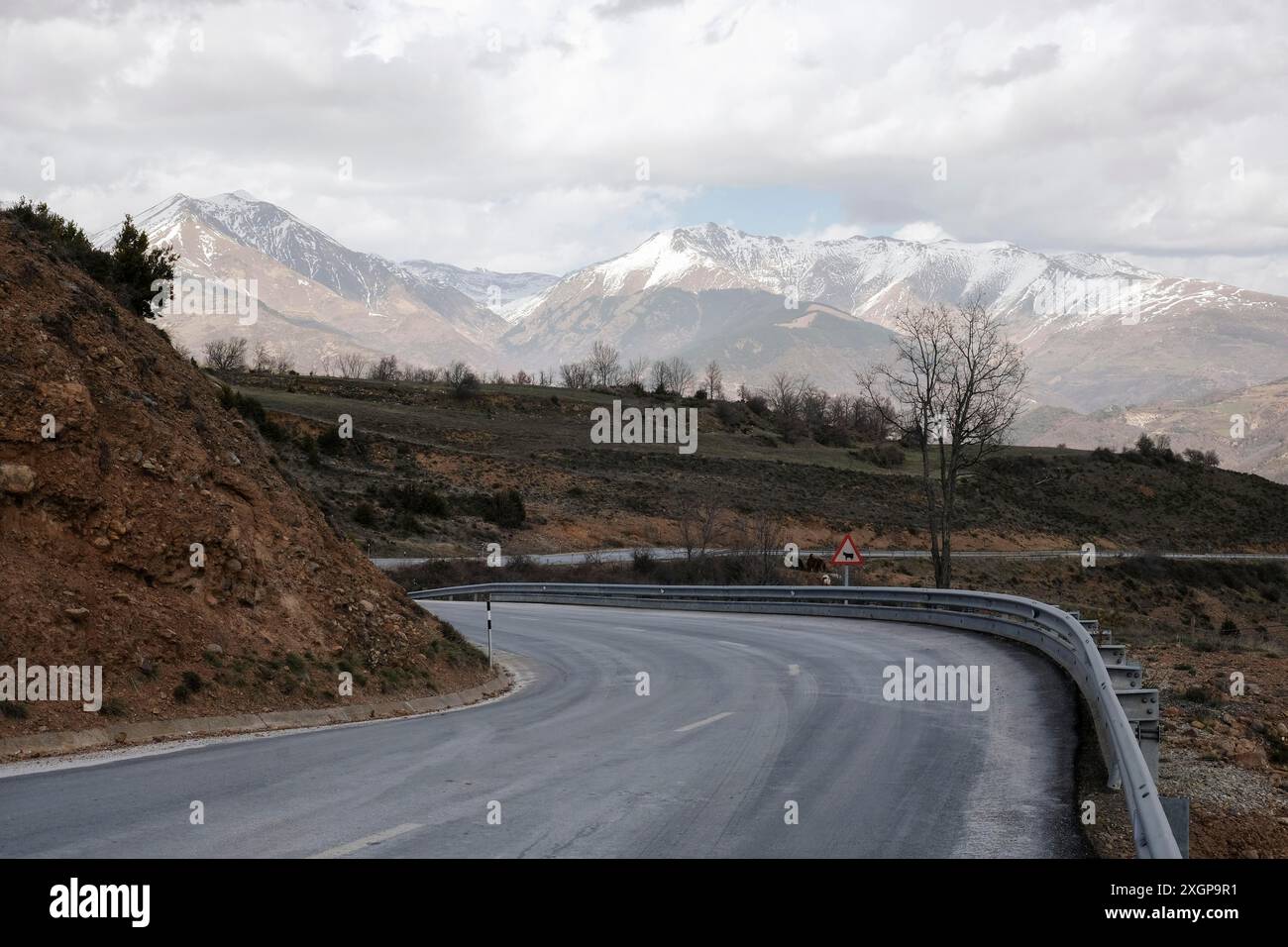 Route de campagne en Catalogne, derrière les Pyrénées, Espagne Banque D'Images