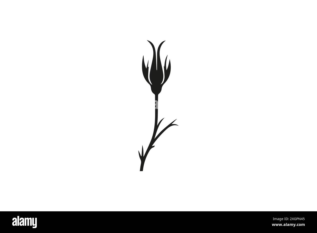 Silhouette d'une illustration de tige de fleur de tulipe simple Illustration de Vecteur