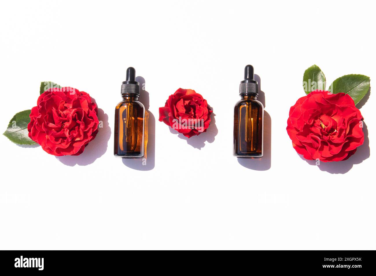 Deux bouteilles cosmétiques en verre foncé avec un remède naturel ou de l'huile pour les soins de la peau du visage et du corps sur un fond blanc avec des têtes de roses rouges. pose à plat. Banque D'Images