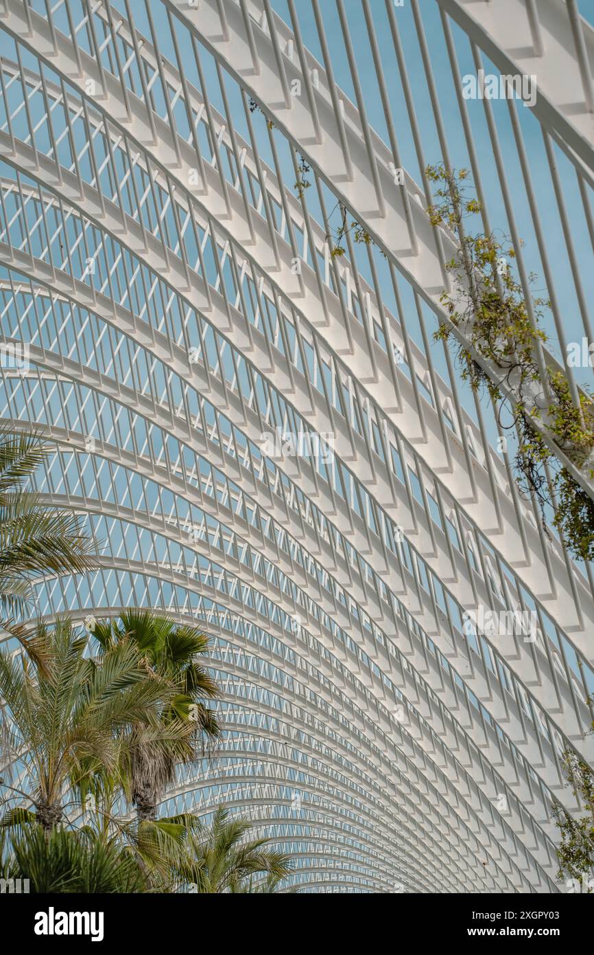 Gros plan d'une structure en treillis métallique moderne avec des plantes poussant à travers les lacunes. Le design combine l'architecture urbaine avec des éléments naturels pour une esthétique durable. Banque D'Images