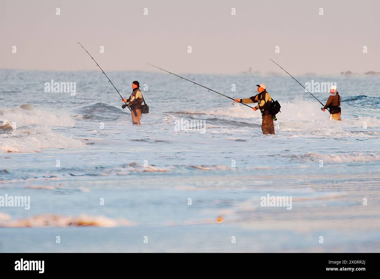 À l'aube de la pêche Surf Banque D'Images